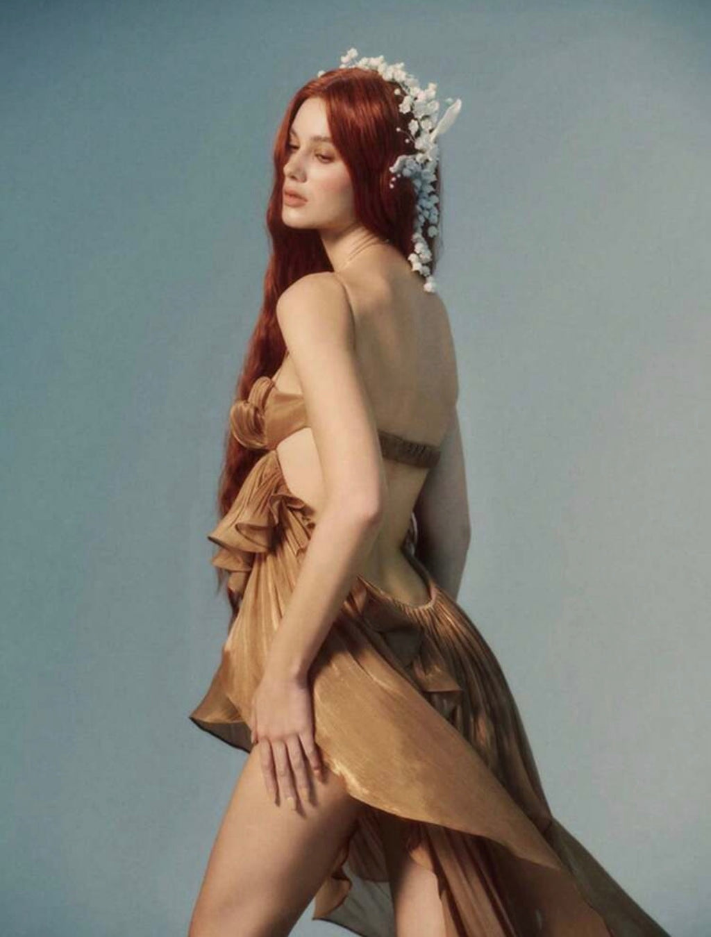 Organza Maxi Dress